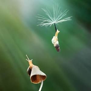 Meet your Posher, Rebecca